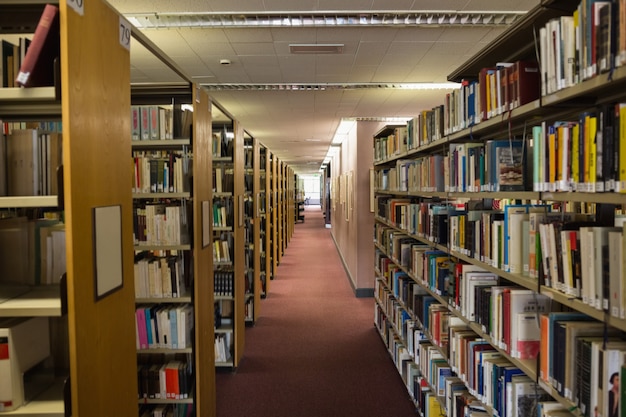 Volúmenes de libros en la estantería de la biblioteca de la universidad