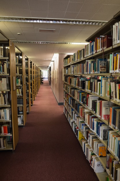 Volúmenes de libros en la estantería de la biblioteca