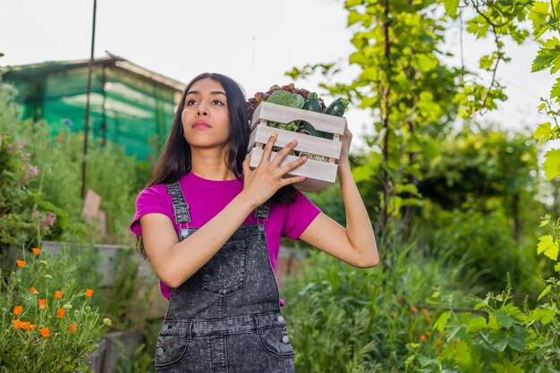 Foto voluntaria en la agricultura de huertos orgánicos mujer latina venezolana cosechando jardín urbano