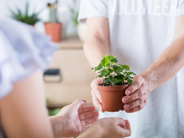 Voluntariado ecológico Conceito de proteção da natureza Homem dando planta em casa para mulher