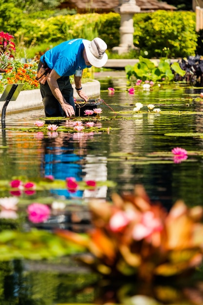 Voluntário trabalhando no jardim de água.