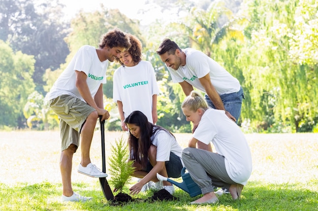 Voluntários plantando no parque