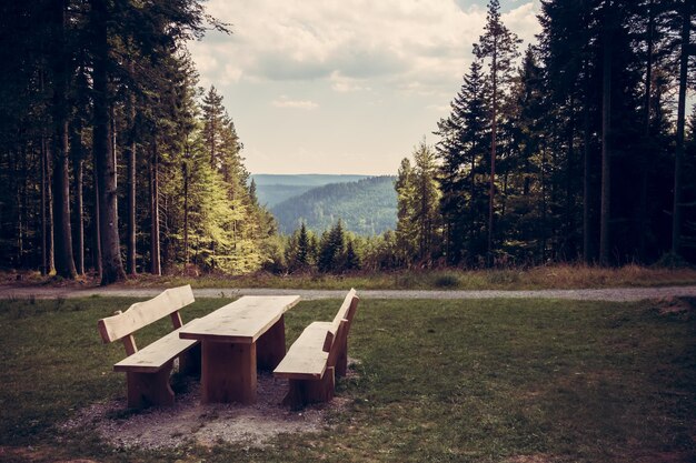 Foto von der bank auf dem feld gegen den himmel