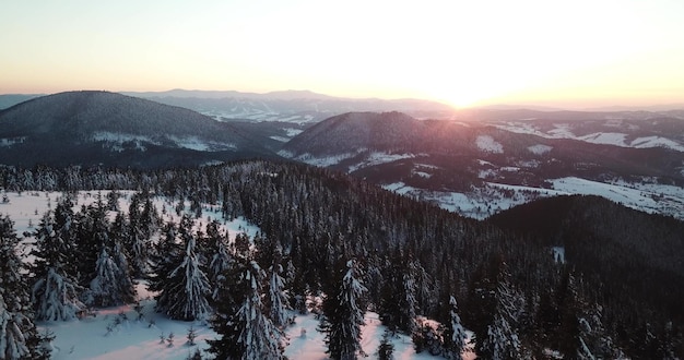 Von großer Höhe märchenhafte Berglandschaft schneebedeckte alpine scharfe Gipfel Wilder Winter in den Karpaten Ukraine Dicke weiße Wolken Freiraum Antenne 4K