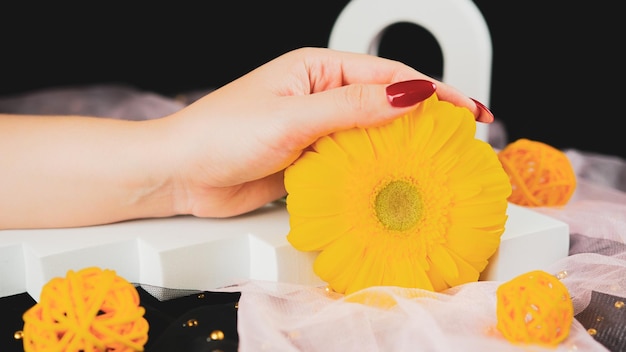 Von oben auf der Ernte anonyme Frauen mit trendiger roter Maniküre halten in seinen Händen leuchtend gelbe Gerbera-Blume im dunklen Raum