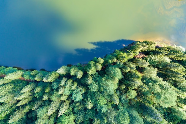 Von oben nach unten Luftaufnahme des großen Sees mit klarem blauem Wasser zwischen hohen Berghügeln, die mit dichtem immergrünem Wald bedeckt sind.