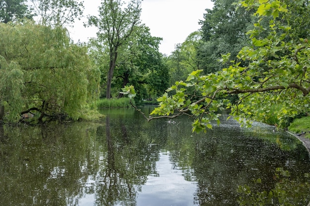 Vondel Park en Amsterdam Países Bajos Reflexión de árboles sobre el fondo del cielo azul de la naturaleza del lago