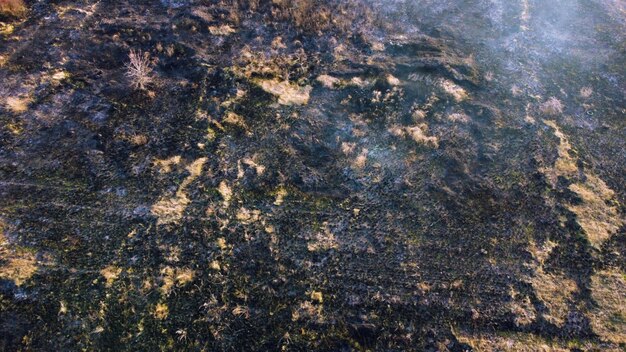Vôo aéreo de drones sobre cinzas negras de campo de grama seca amarela marrom queimada e fumaça branca sobre