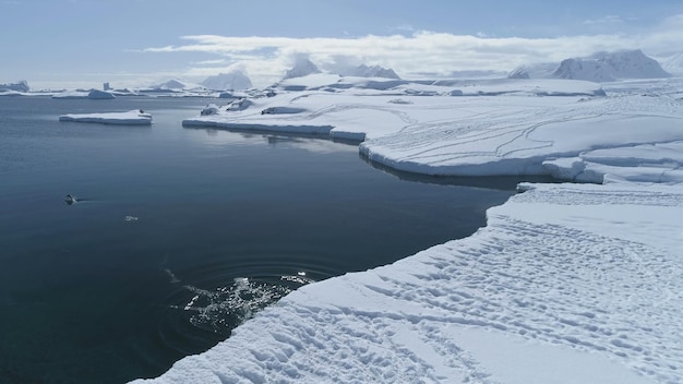 Voo aéreo sobre a Antártida neve terra oceano