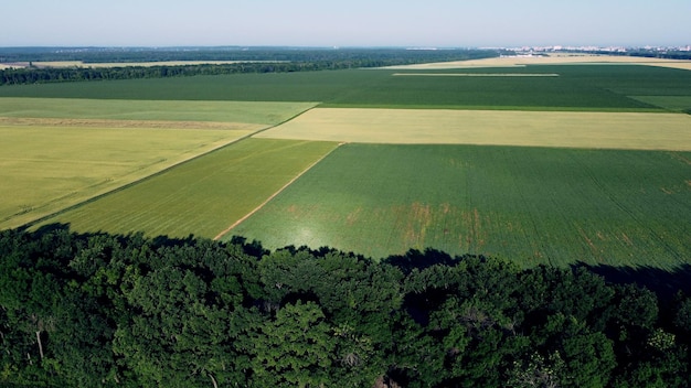 Vôo de visão aérea de drones sobre diferentes campos agrícolas semeados