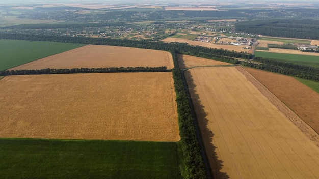 Vôo de visão aérea de drones sobre diferentes campos agrícolas verdes amarelos