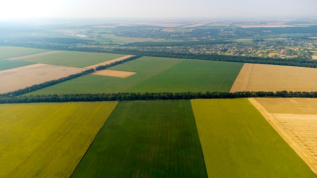 Vôo de visão aérea de drones sobre diferentes campos agrícolas verdes amarelos