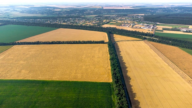 Vôo de visão aérea de drones sobre diferentes campos agrícolas verdes amarelos