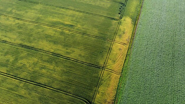 Vôo de visão aérea de drones sobre diferentes campos agrícolas