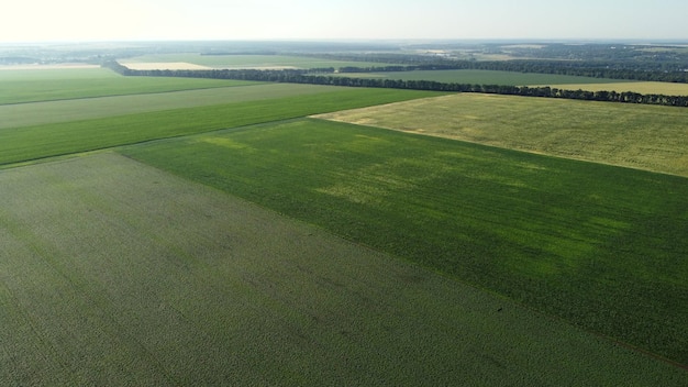 Vôo de visão aérea de drones sobre diferentes campos agrícolas