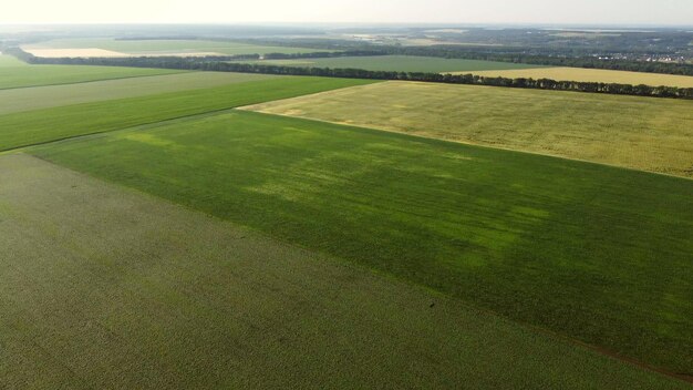 Vôo de visão aérea de drones sobre diferentes campos agrícolas