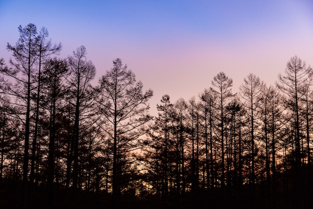 Vor dem Sonnenuntergang