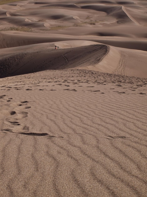 Vor Sonnenuntergang im Great Sand Dunes National Park, Colorado.