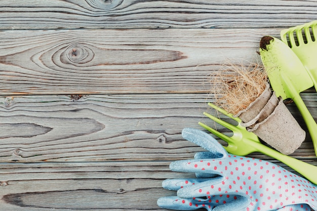 Vorbereitung für den Frühling, um Pflanzen zu verpflanzen. Topf, Schaufel, Sukkulenten