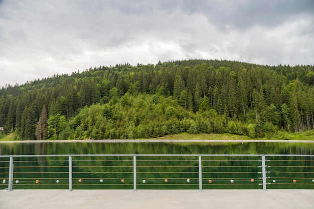 Vorderansicht des schönen großen Sees und der unglaublichen grünen Bäume im Wald. Konzept der schönen Landschaftsnatur.