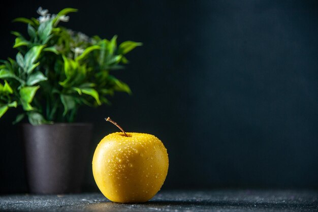 Vorderansicht frischer gelber Apfel auf dunklem Hintergrund Fotobaumfarbe reife Birnenfrucht