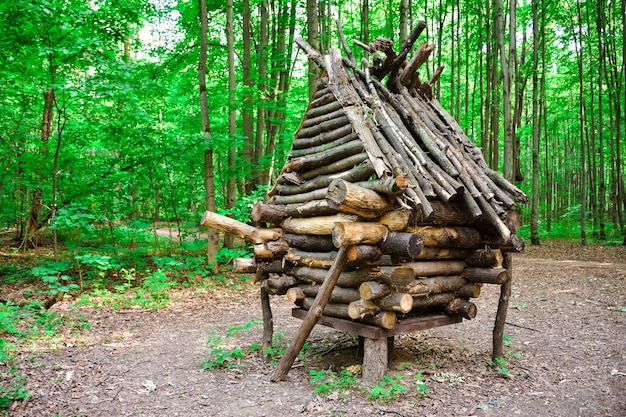 Foto vorderansicht holzhütte im wald