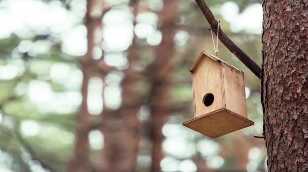 Vorderansicht, im Wald, hölzernes Vogelhaus, das an einem Kiefernstamm befestigt ist. Selektiver Fokus