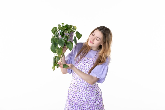 Vorderansicht junge weibliche Holding Topf mit Pflanze auf weißem Hintergrund Blatt Garten Gras Einkaufen Boden Pflanze Frau grüne Job Blume