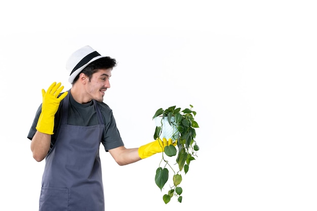 Vorderansicht junger Mann in gelben Handschuhen, der Pflanze auf weißem Hintergrund Grasbaum Bodengärtner grüne Job Gartenblume hält