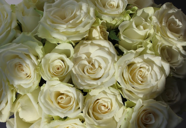 Vorderes oberes Makrofoto eines Blumenstraußes aus weißen Rosen für den Hintergrund