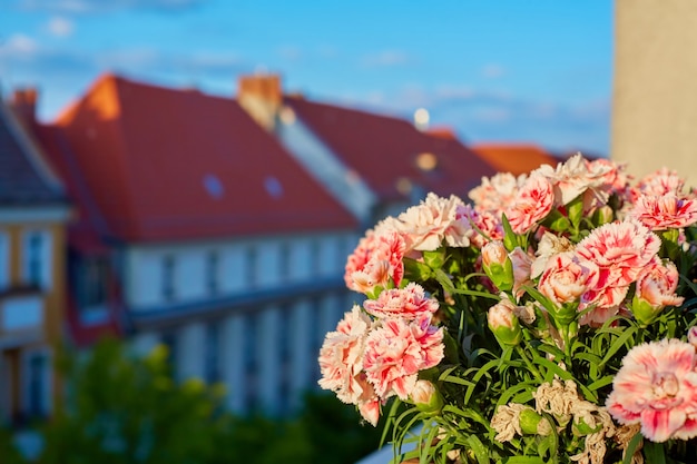 Vorgarten auf der Veranda. Blumen in Töpfen mit einer Stadt im Hintergrund