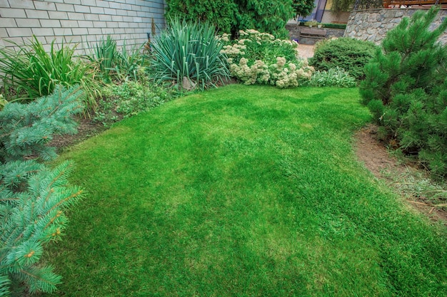 Vorgarten, der einen wunderschön gepflegten Vorgarten mit einem Garten voller Stauden und Einjähriger gestaltet