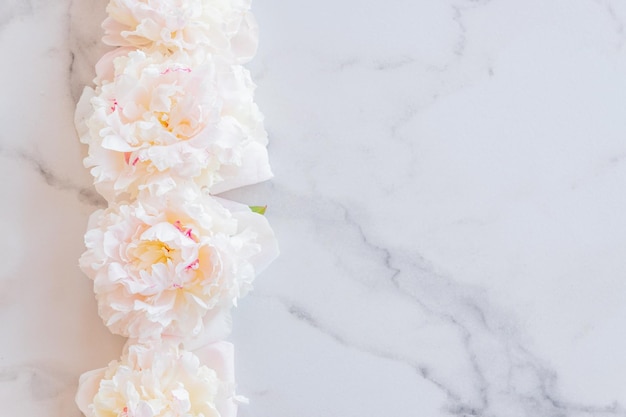 Vorlage für eine romantische Grußkarte mit cremigen Pfingstrosen auf weißem Marmorhintergrund Blühende Blumen auf weißem Hintergrund Rosa Pfingstrosen auf einem weißen Marmortisch flach legen