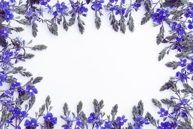 Vorlage in Form eines Rahmens aus zarten Wildblumen in Blau auf weißem Hintergrund