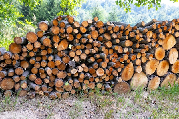 Vorrat an Brennholz zum Heizen des Hauses im Wald