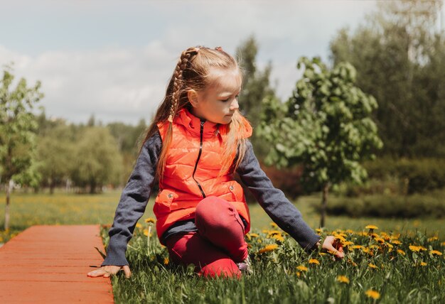 Vorschulmädchen sammelt im Sommer Löwenzahnblumen im Park. Das Kind sammelt einen Blumenstrauß