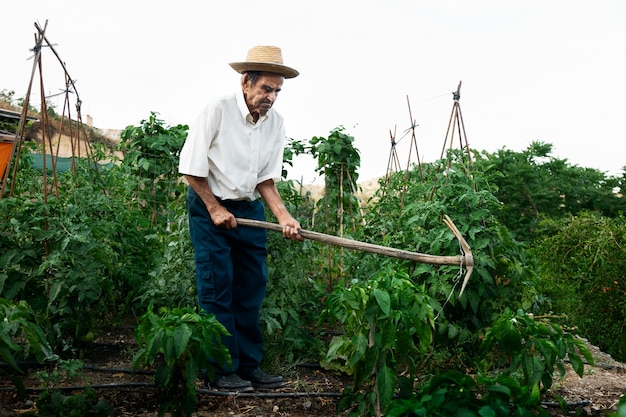 Vovô passando tempo no campo