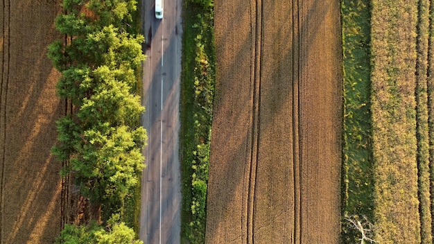 Vuelo aéreo con drones sobre carretera asfaltada con árboles verdes