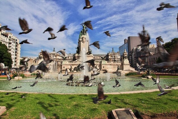 Vuelo de aves en Buenos Aires, Argentina