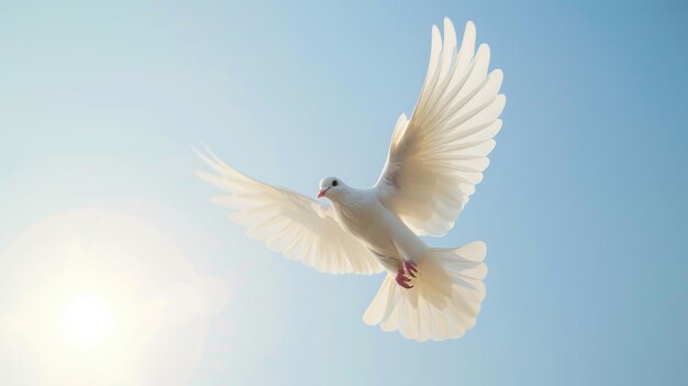 El vuelo de las palomas simboliza la paz contra el cielo.