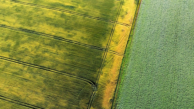 Vuelo de vista aérea drone sobre diferentes campos agrícolas sembrados