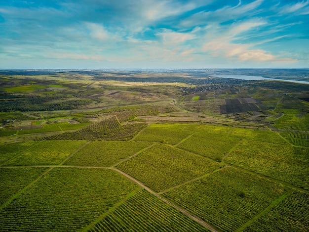 Vuelo de vista aérea de drones sobre diferentes campos agrícolas.