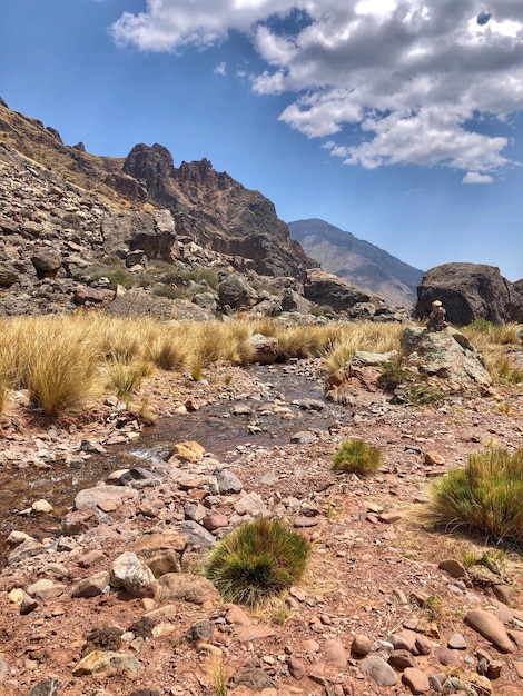 Foto de vuelta al camino.