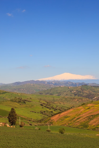 Foto vulcão etna e o campo da sicília