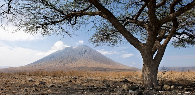 Foto vulcão tanzani, ol doinyo lengai, tanzânia, áfrica