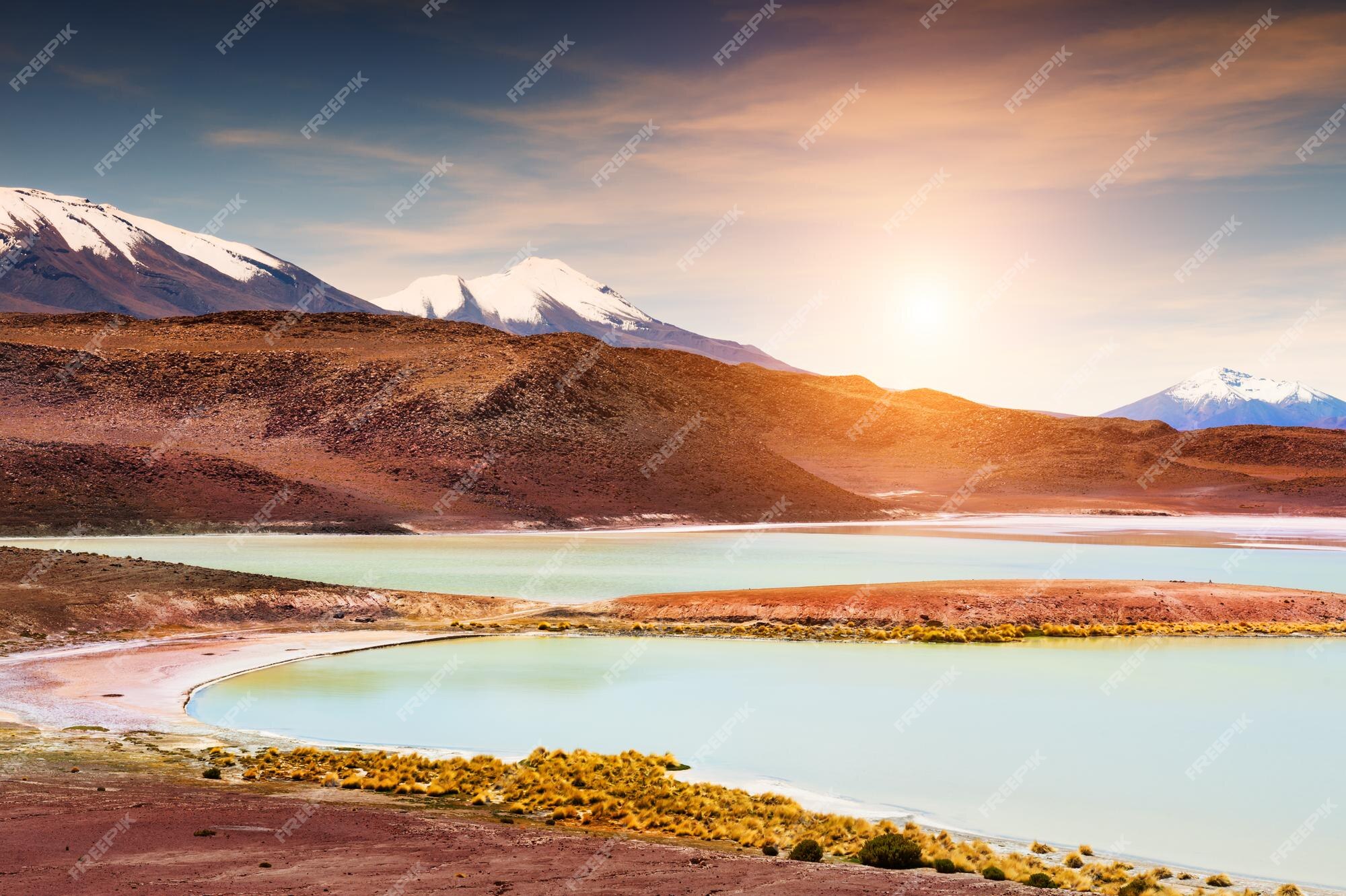 Foto de Vegetação De Altitude Elevada e mais fotos de stock de América  Latina - América Latina, América do Sul, Cayambe - Vulcão - iStock