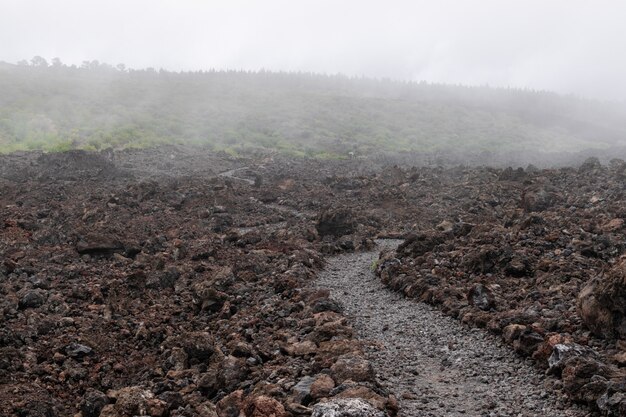 Vulkangesteinspur mit Nebel