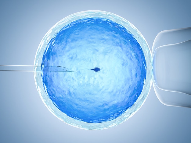 Óvulo de renderização 3D com agulha para inseminação artificial ou fertilização in vitro