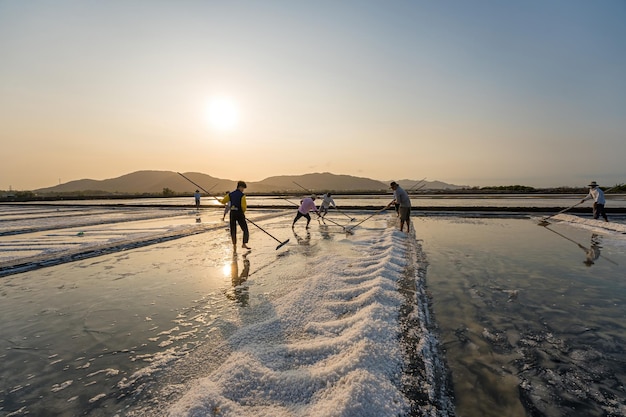Vung Tau VIETNAM 18 DE MARZO DE 2023 El proceso de sal marina hecho de un montón de sal en la salina por un trabajador en el área rural de los campos de sal de Long Dien es uno de los destinos más exclusivos de Vietnam