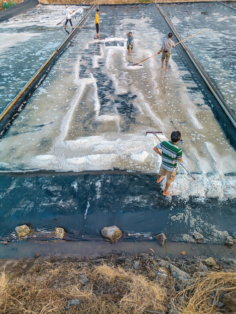 Vung Tau VIETNAM 25 DE FEBRERO DE 2023 El proceso de sal marina hecho a partir de montones de sal en la salina por un trabajador de sal en la zona rural de Long Dien Los campos de sal es uno de los destinos más exclusivos de Vietnam